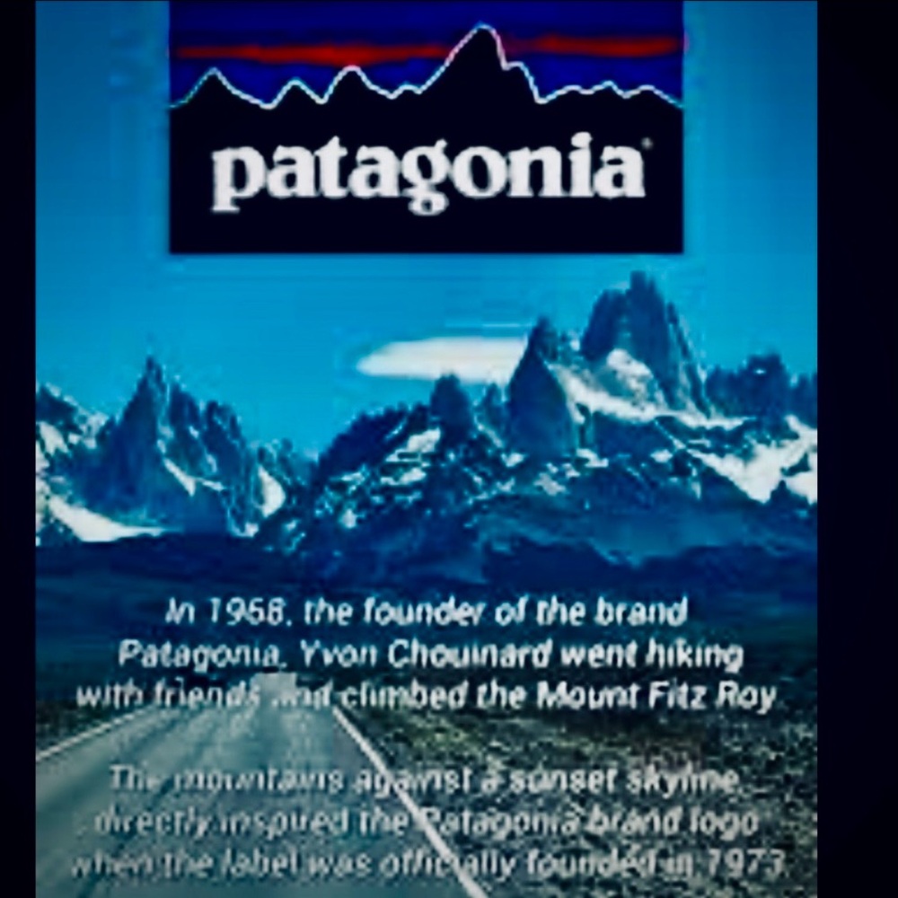 PATAGONIA MENS XL PEPPERGRASS GREEN NANO PUFF HOODY. PRIMALOFT FILL,STYLE 84222 - Picture 5 of 13